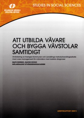 rapport-2007.jpg
